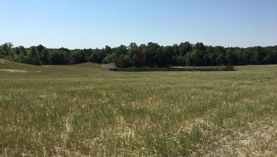 Photo of a mine site in Callaway County after it has been reclaimed.