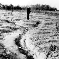 Hugh Hammond Bennett, the father of soil conservation, inspects soil erosion in a field. Bennett served as the first chief of the U.S. Soil Conservation Service, within the U.S. Department of Agriculture, from 1935 until 1952.