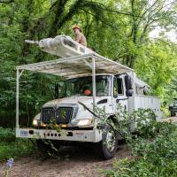 In preparation for cleanup and rebuilding efforts, Missouri State Parks staff cut low-hanging or dead tree branches and cleared debris along Katy Trail State Park, near Tebbetts.