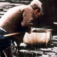 The department has been monitoring aquatic macroinvertebrates in our waterways since the 1970s to detect changes in aquatic systems due to chemical, physical or biological disturbances. Alt text: A c. 1976 photo of a man shows him standing in the water while looking inside a net.  