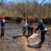 The department has been monitoring aquatic macroinvertebrates in our waterways since the 1970s to detect changes in aquatic systems due to chemical, physical or biological disturbances. Alt text: A more recent photo shows a group of 4 women in a stream with a large net.  