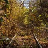 Abandoned train tracks lead through overgrown brush to a former Rock Island railroad bridge over the Osage River. Top: The Rock Island corridor has passed through the Estes family farm, near Rosebud, since it was established in the early 1900s.