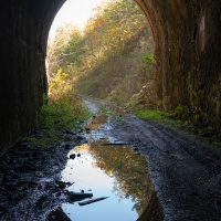 Future riders of the Rock Island Trail will be able to experience attractions such as this tunnel near Eugene.