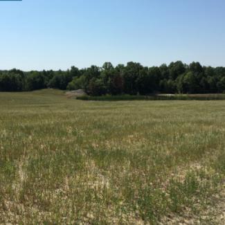 Photo of a mine site in Callaway County after it has been reclaimed.