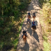 Equestrians ride along a section of the Rock Island Trail that opened in 2016 that connects Windsor to Pleasant Hill.