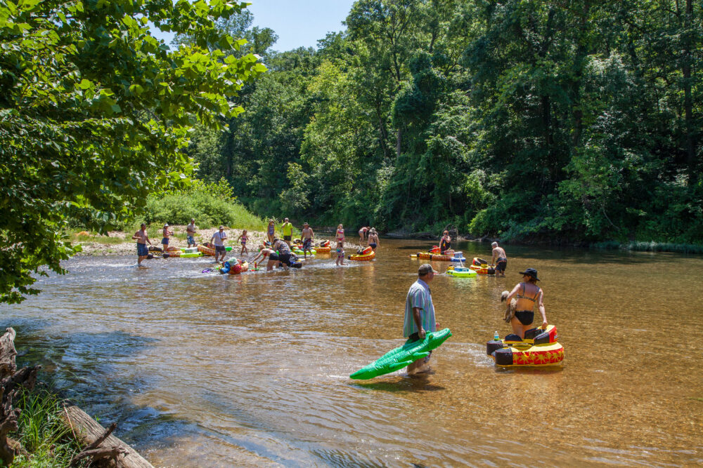 A group of people wade in a gravel-bottom river on a sunny day. They are carrying inflatable inner tubes for floating.