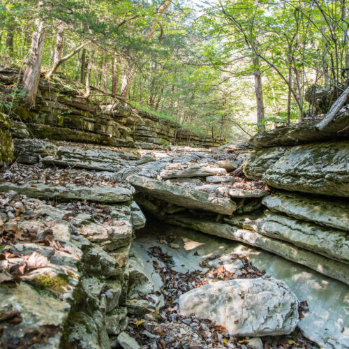 Layers of natural rock formations are stacked up to form a dry stream bed. On the sides of the stream bed are trees and other vegetation.