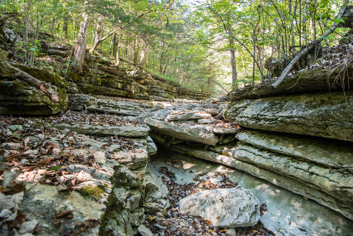 Layers of natural rock formations are stacked up to form a dry stream bed. On the sides of the stream bed are trees and other vegetation.