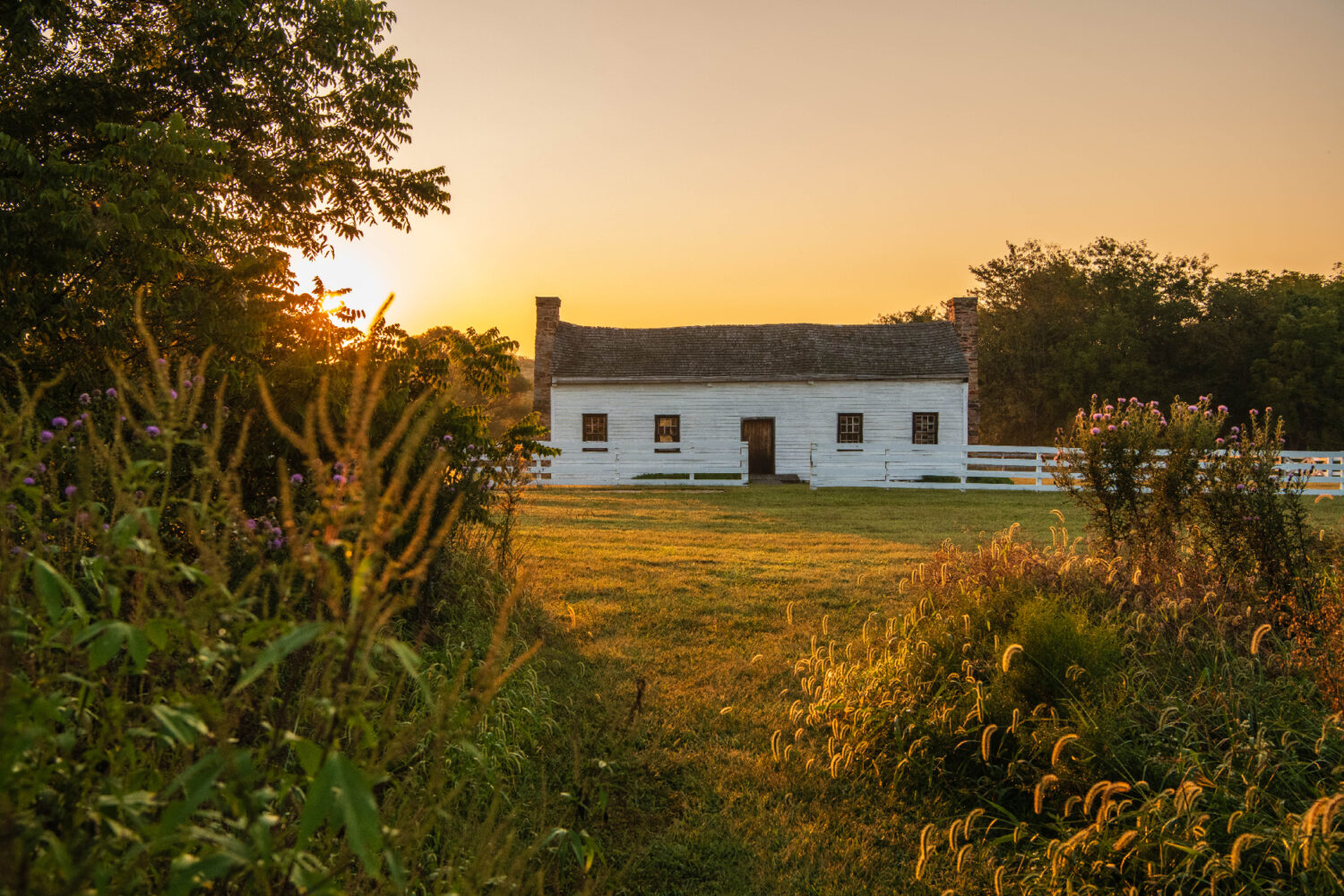 An old house surrounded by a fence, framed by trees and brush on the left and right.