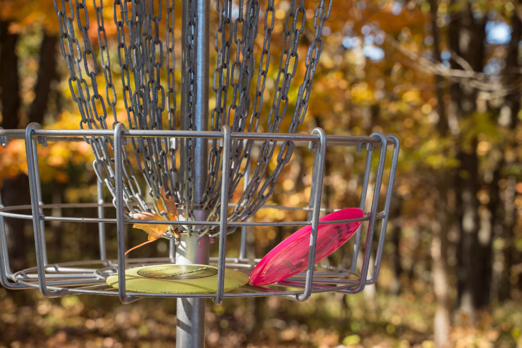 An image of the basket with two discs inside of it. Metal chains hang down from a pole that sticks out the top of the basket.