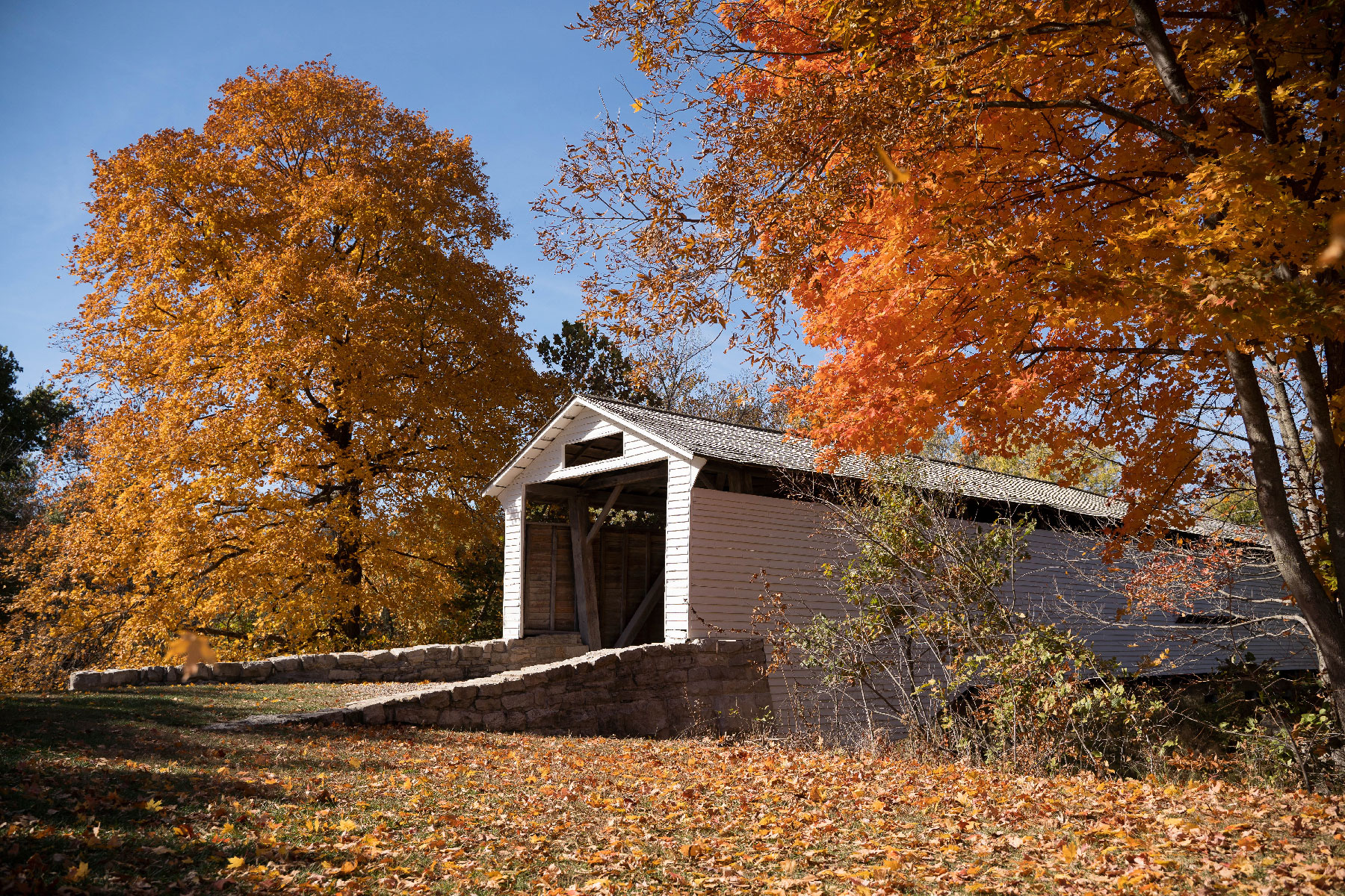 The entrance to a wooden covered bridge is in the center of the frame. To the right and left of the entrance to the bridge are large trees transitioning to fall foliage.