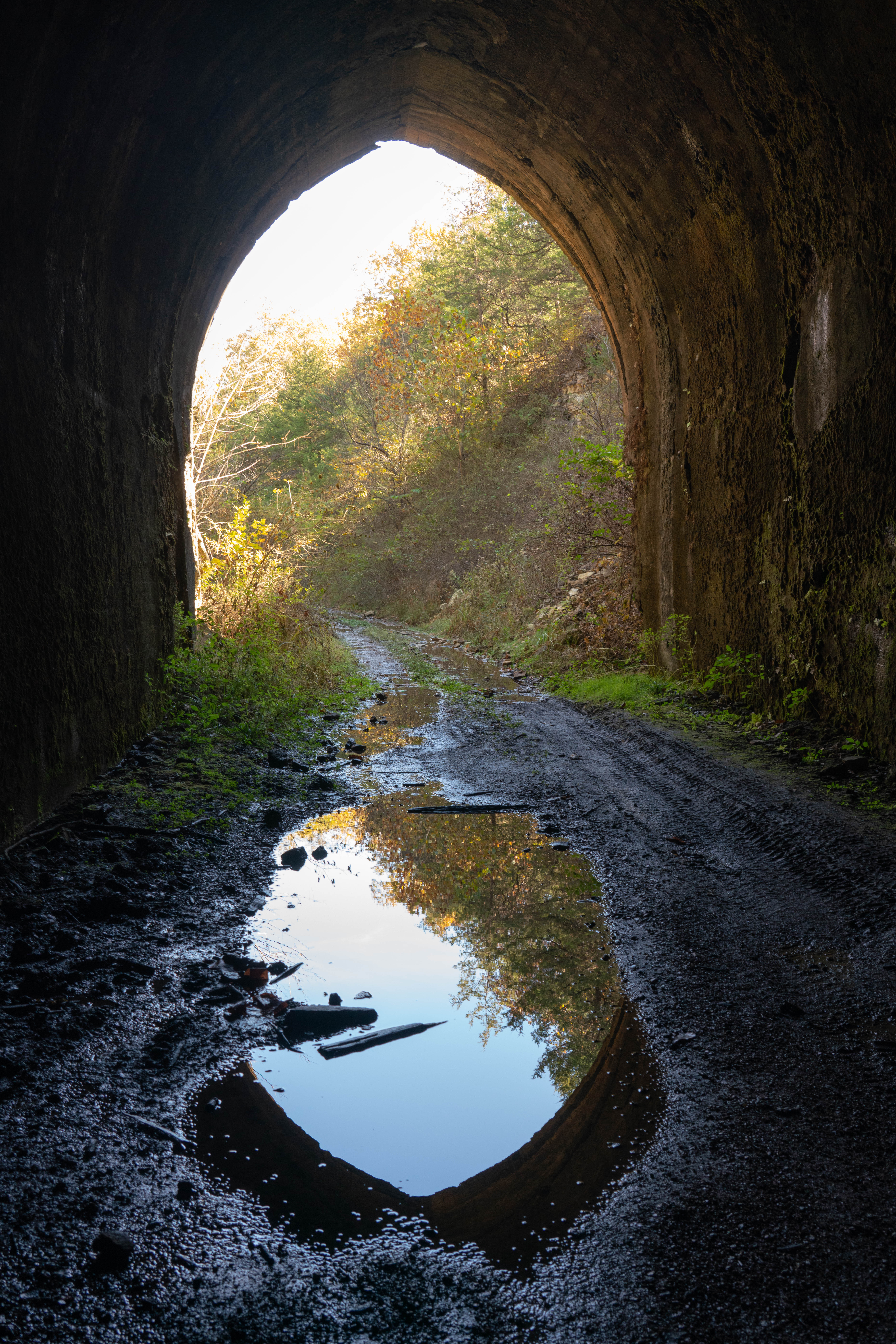 A view from the interior of a railroad tunnel looking outward. In the distance is an arched exit from the tunnel. A large puddle of water in the foreground.