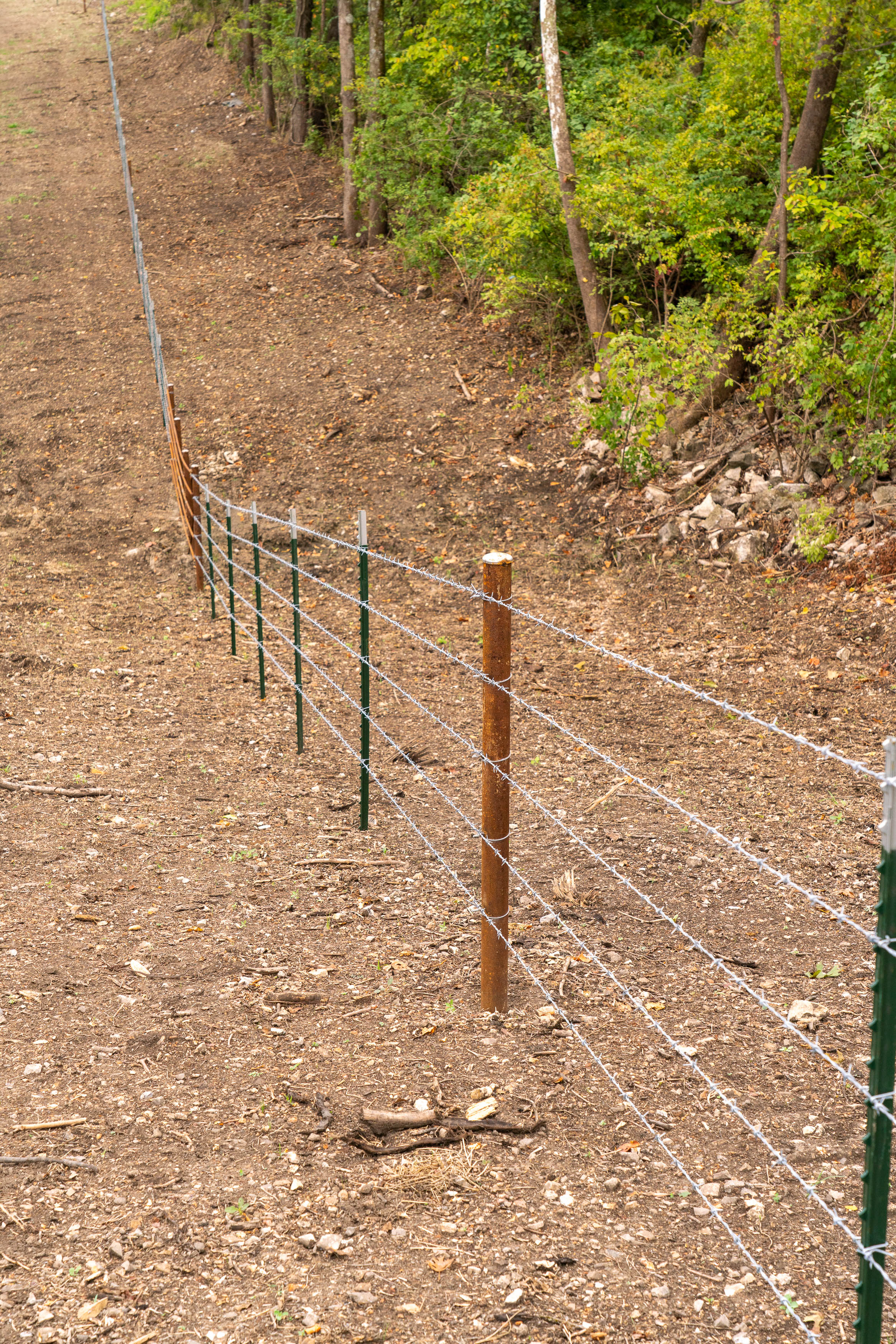 A series of fence posts with barbed wire stretched between them.