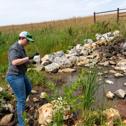 A woman stands below a culvert that is empting water onto the ground. Large limestone rocks are below the culvert to prevent erosion. The Woman is taking water samples and is holding two plastic water collection bottles.