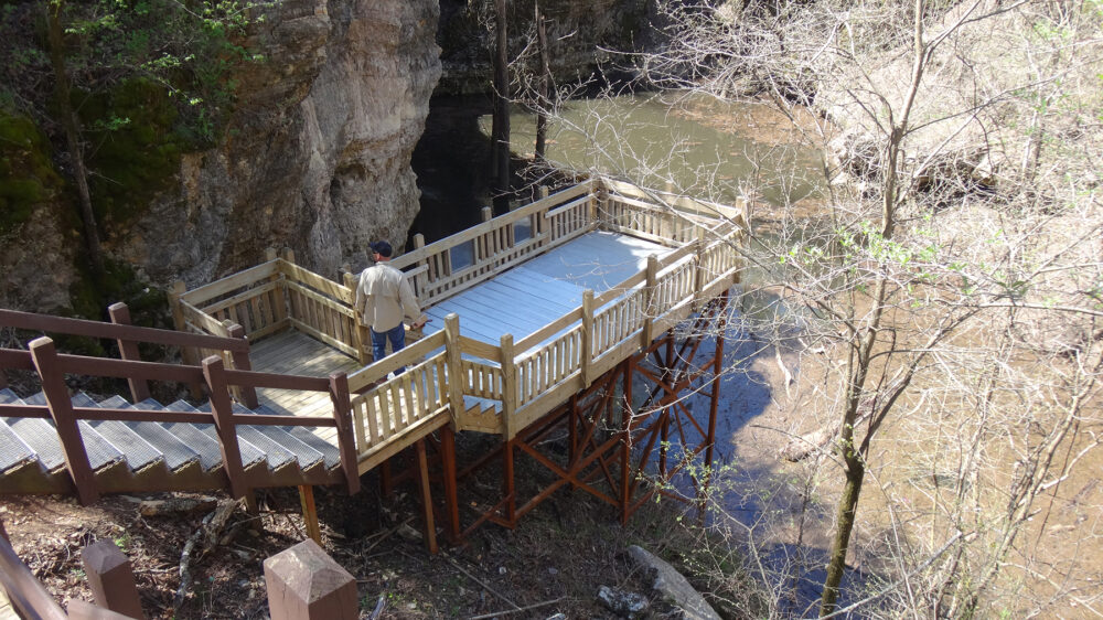 A man stands on a set of wooden stairs that lead down to a overlook. There is a noticeable difference between the new and old wood. In the background are the limestone walls of Grand Gulf. The bottom of the gulf is filled with water.