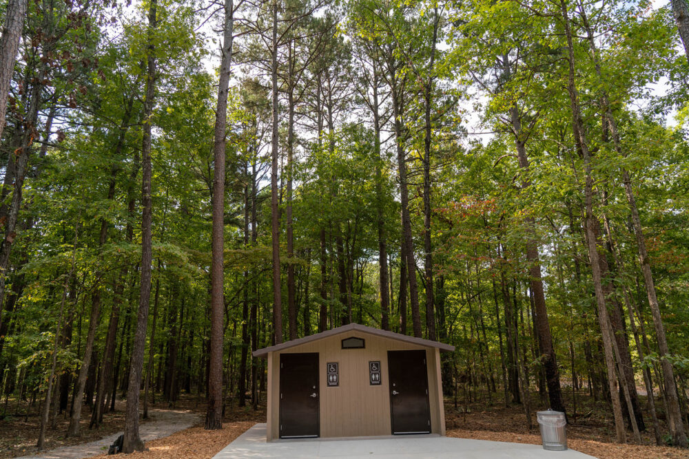 A small bathroom structure sits beneath towing pine trees.