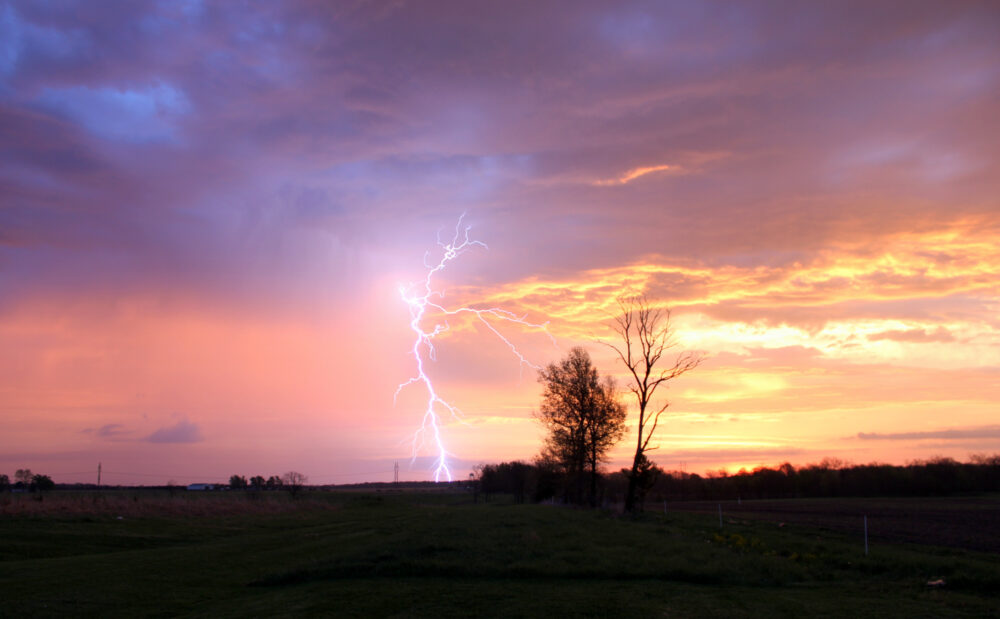 Clouds are lit by the rising sun with the silhouette of a field with two trees in the foreground. A storm cloud is lit up by a lightning bolt, which illuminates the rain falling in the distance.