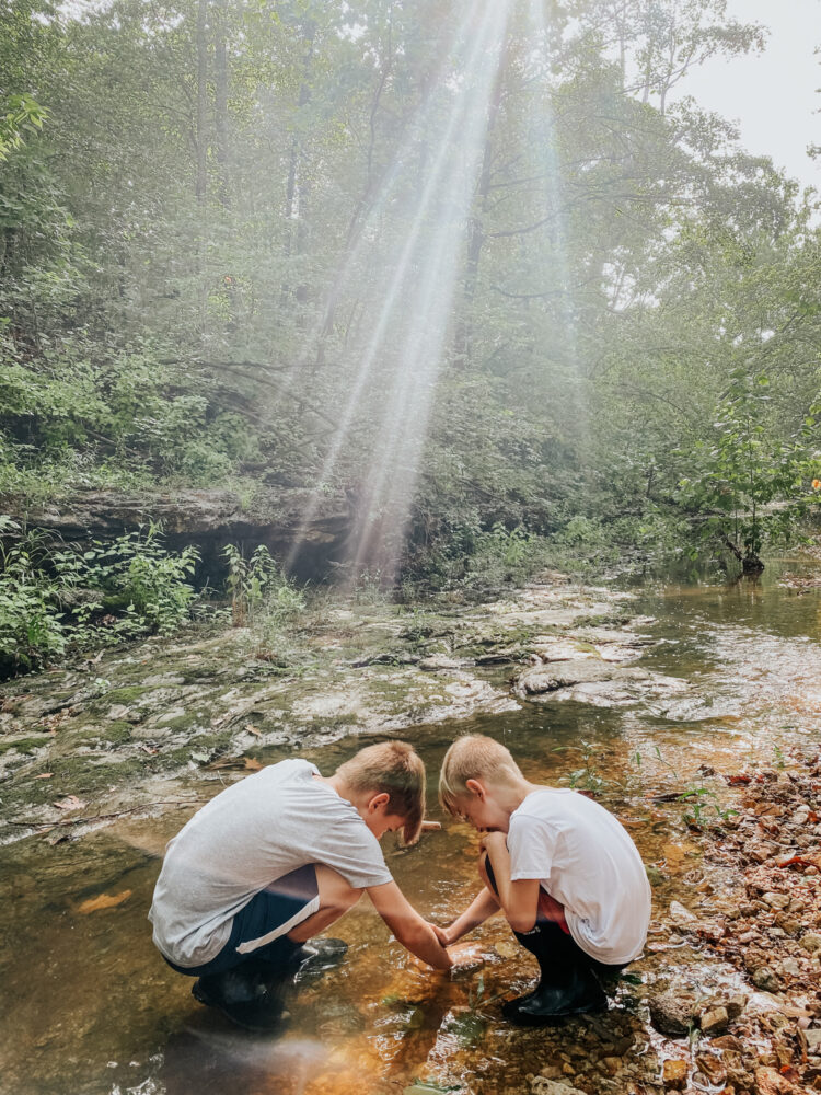 Two young boys are squatting in a creek. Their hands are in the water, picking up rocks from the streambed. Lush vegetation is visible in the background.