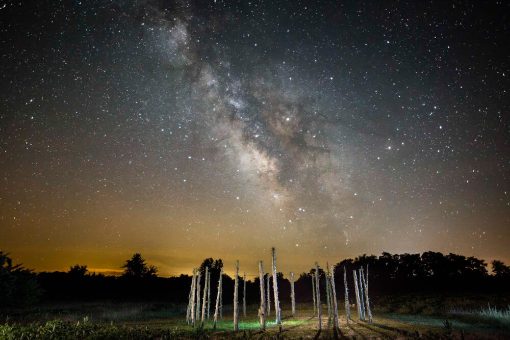 A star filled sky sits above the silhouette of trees in the background. In. the foreground is a circle made of tree trunks standing upright.