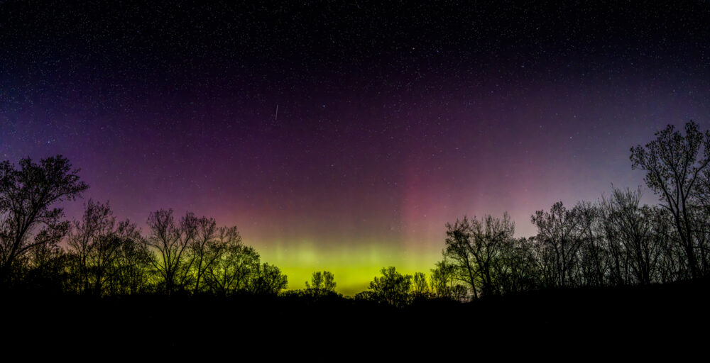 A nighttime view of the sky with the silhouette of trees on the horizon. The sky is filled with stars and columns of light can be seen traveling through the dark sky. The light columns are evidence of the solar wind interacting with earth's magnetic field.