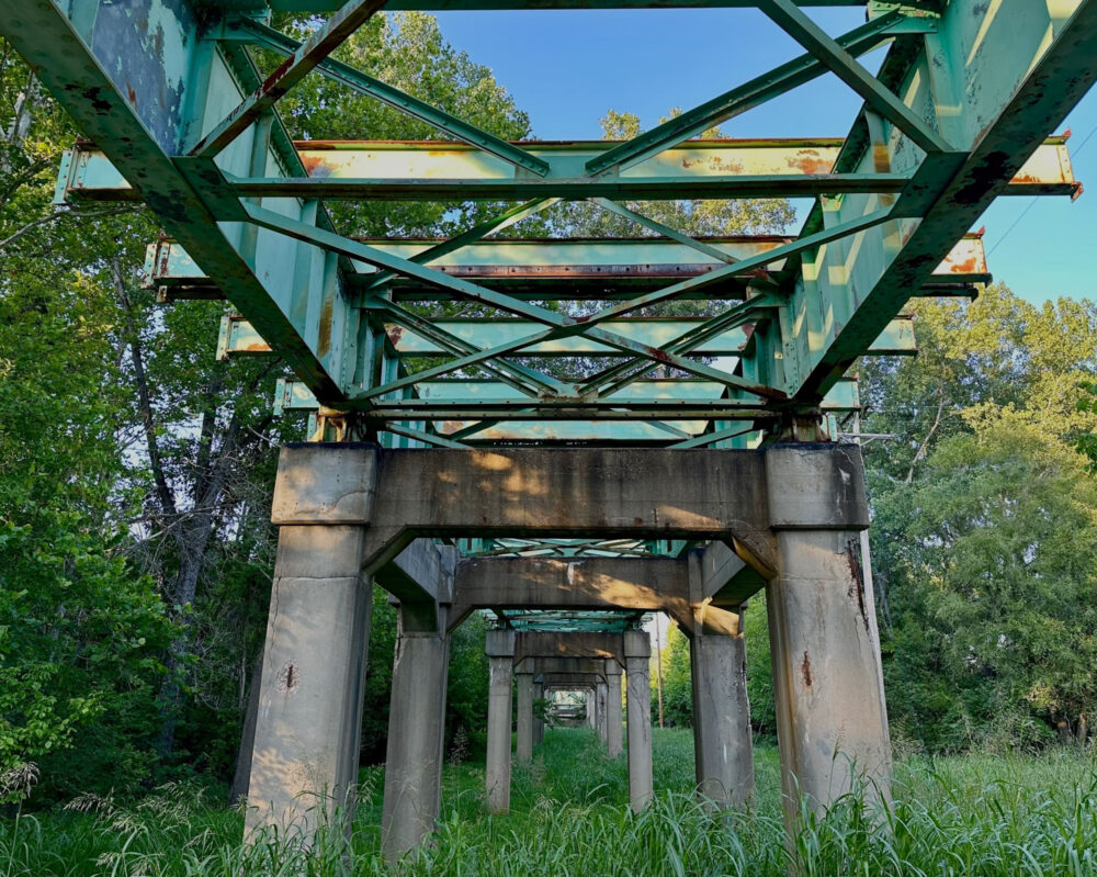 A view underneath a bridge. Concrete pillars support steel beams. The decking of the bridge has been removed, so trees and open sky are visible through the support structure.