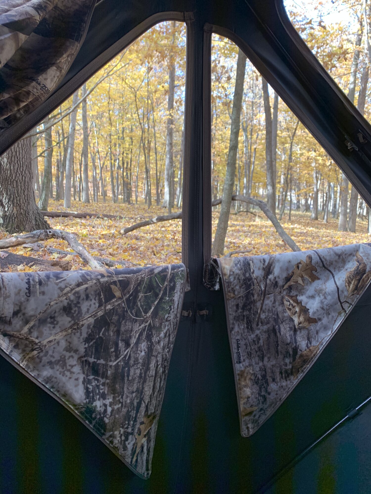 Photo of a fall wooded area through a hunting blind.