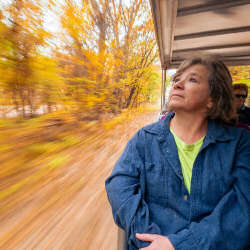 Photo of a woman riding on a tram through an autumn wooded area.