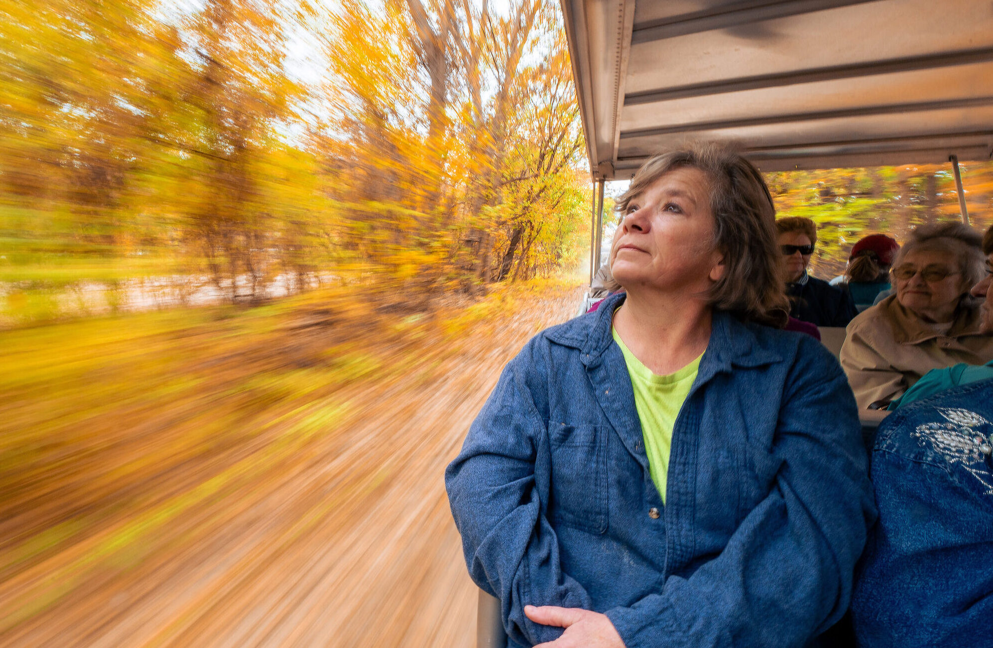 Photo of a woman riding on a tram through an autumn wooded area.