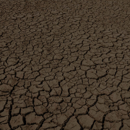 Mud dried and cracked.