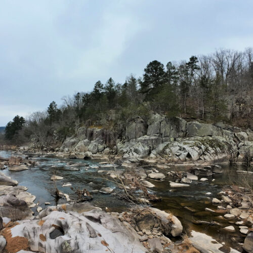 Photo of a river flowing through rocks of various sizes surrounded by trees.