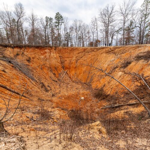 Photo of a massive sinkhole lined by trees.