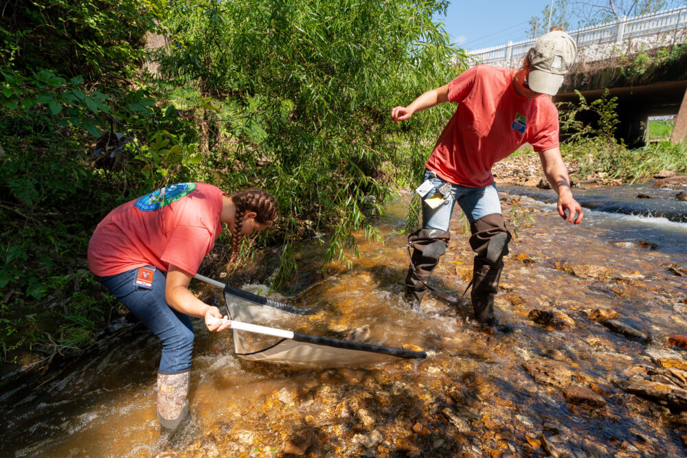 Photo of two people, one holding a net and sifting water, the other walking carefully in front of her.