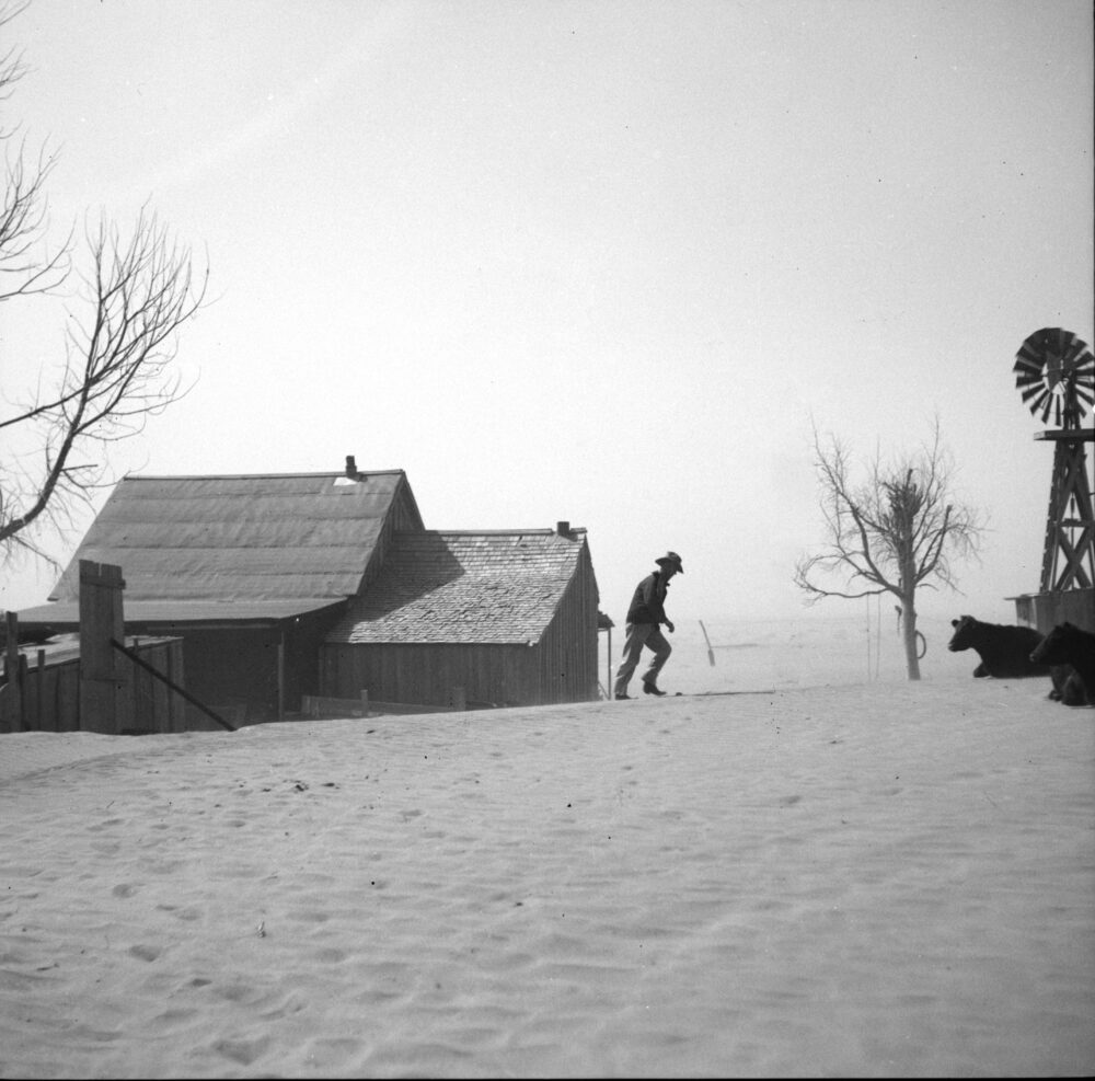 Old photo of a man walking towards cows with a barn and barren landscape behind him.