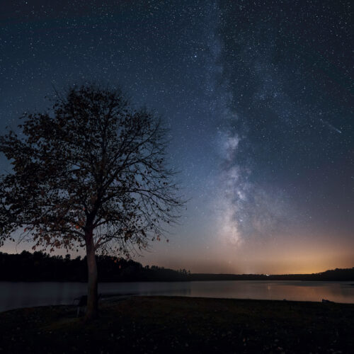 The silhouette of a tree stands next to a vibrant view of the milky way galaxy and a comet in the night sky.