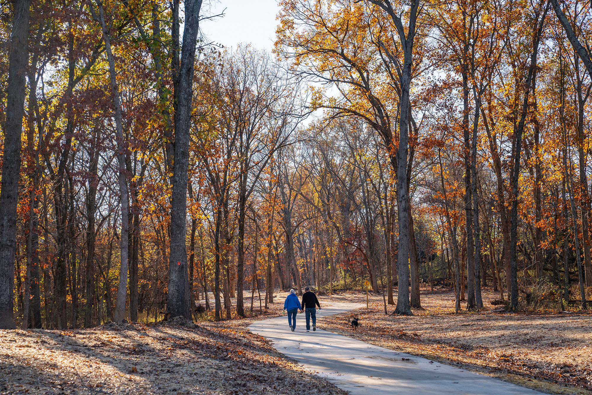 Two people walk along a concrete path through a wooded area. The trees are changing to their fall foliage.
