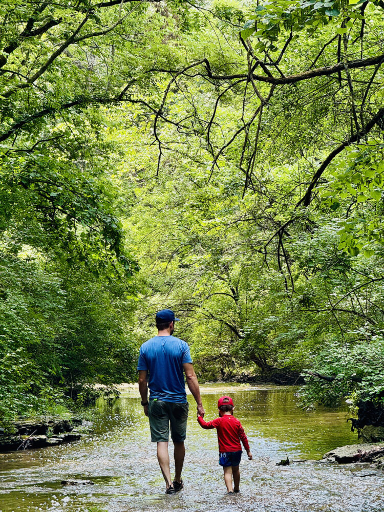 A man walks away from the camera position in the middle of a shallow creek. He is holding the hand of a child who walks next to him.
