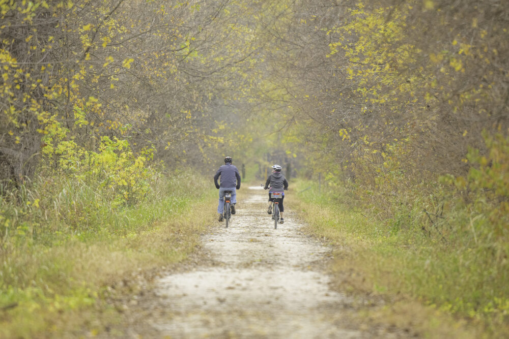 A gravel path with two people riding bicycles next to each other in the center of the frame.