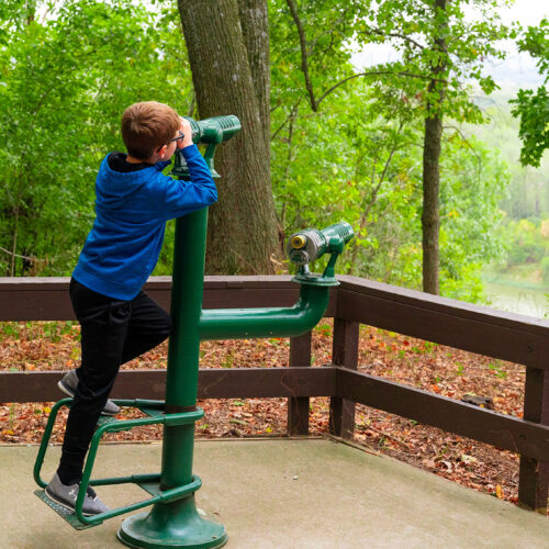 A young child looks into the distance through a monocular scope. The child is surrounded by bright open woods.