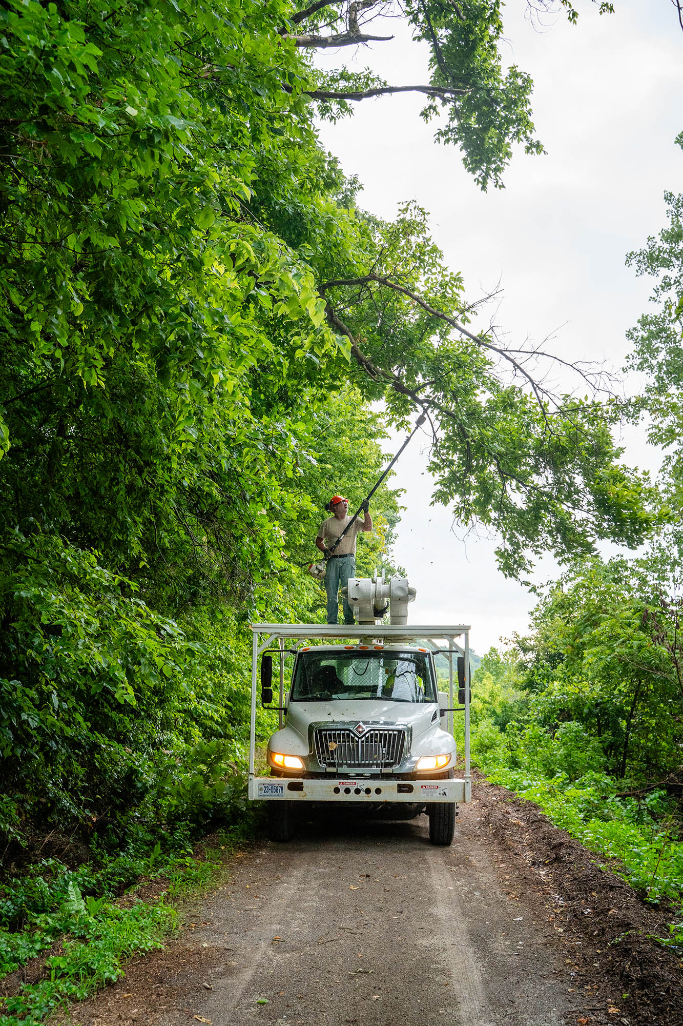A person holding a pole trimmer and cutting a tree branch overhanging the road, stands on top of a flat platform affixed to the top of a heavy duty work truck.