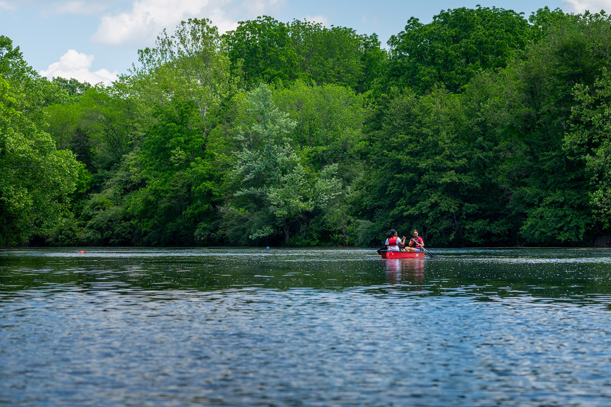 Two people canoe in a calm lake with a dense wooded area behind them along the edge of the water.