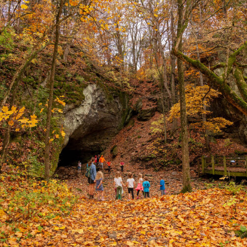 A group of children and chaperones listen to a guide at a large cave entrance surrounded by fall foliage.
