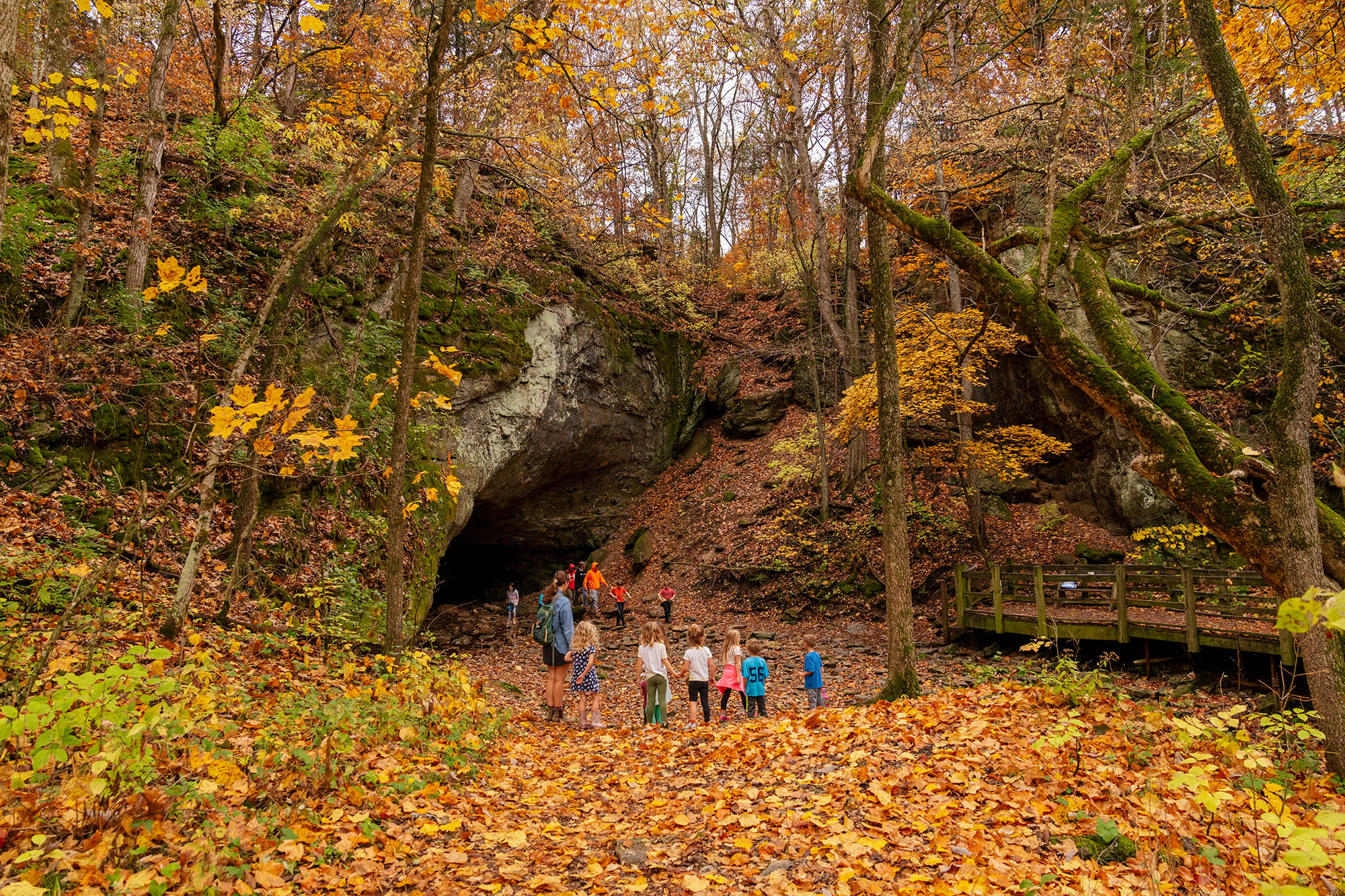 A group of children and chaperones listen to a guide at a large cave entrance surrounded by fall foliage.
