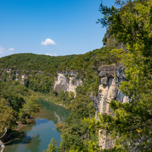 A large bluff partly covered by trees and vines stands tall winding a similar path as the flowing river next to it. Both fade around a bend blocked by a thick canopy of trees.