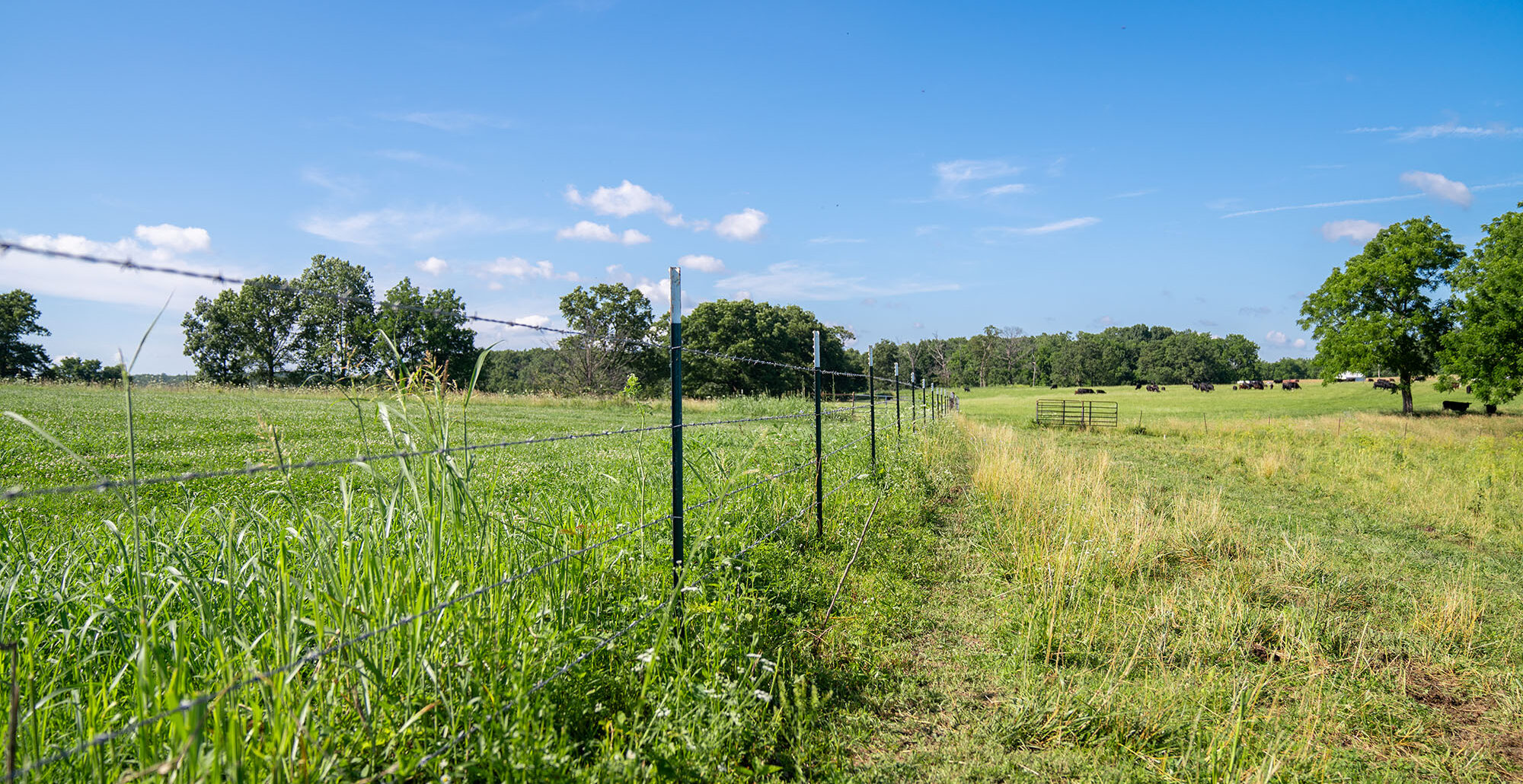 Saving Our Soil