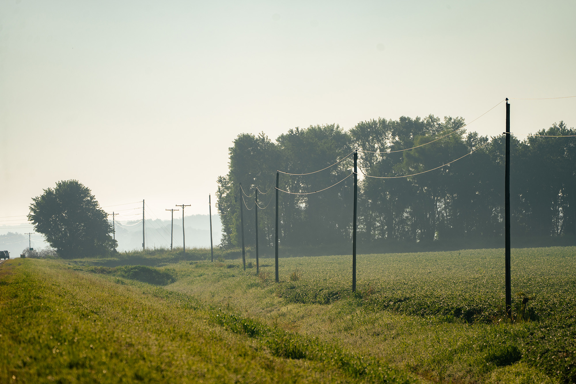 A 2 wire powerline stretches from out of frame to the distance almost as a divider between an open field and crop field, with a line of thick trees in the distance.